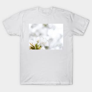 White cherry blossoms T-Shirt